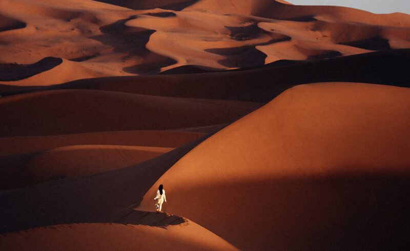 Desert Journey